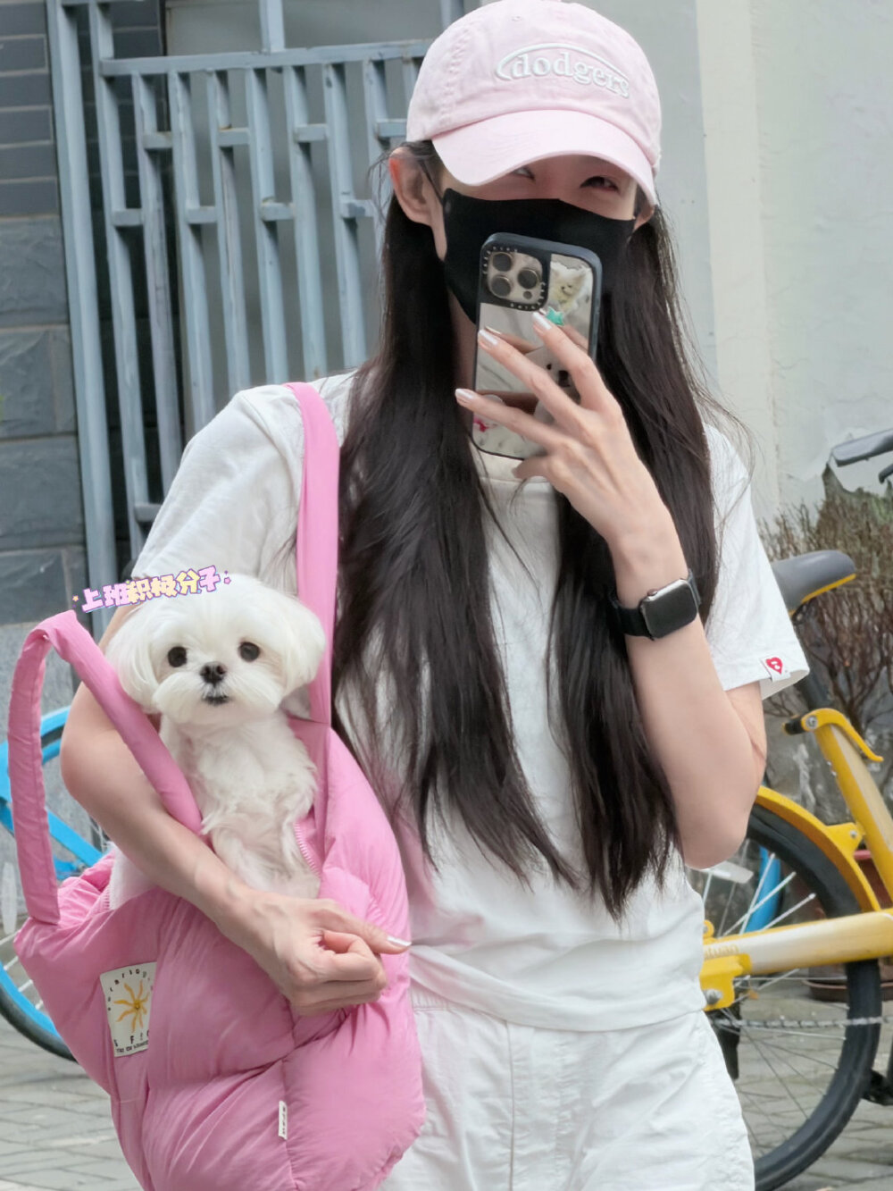 李一桐
