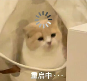 猫猫表情包