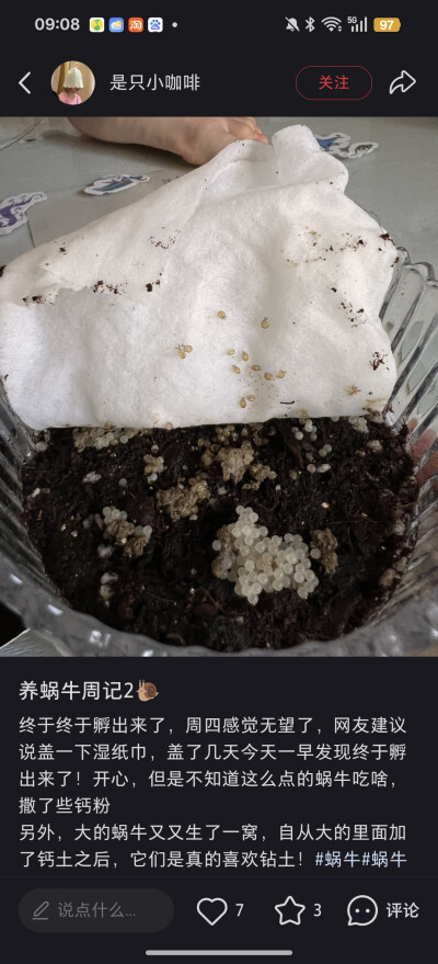 。