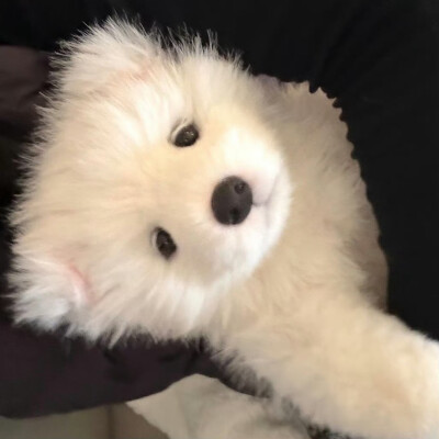 。