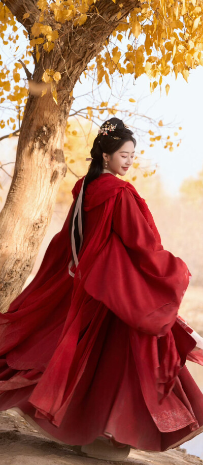 邓恩熙《花开锦绣》傅庭芸