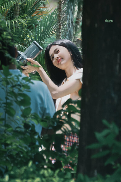 白鹿