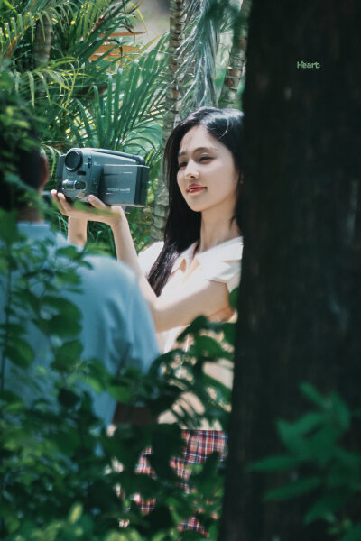 白鹿