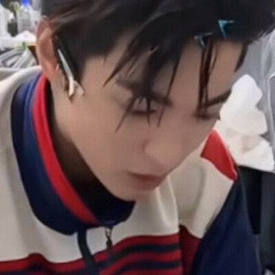 狗狗