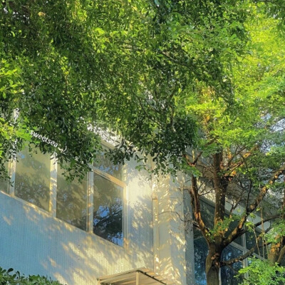 背景图