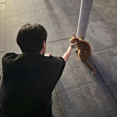 | 男生头像 我只有两个愿望