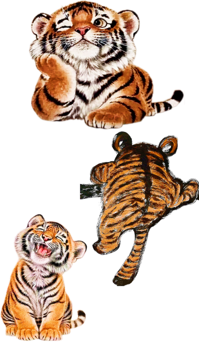 ，