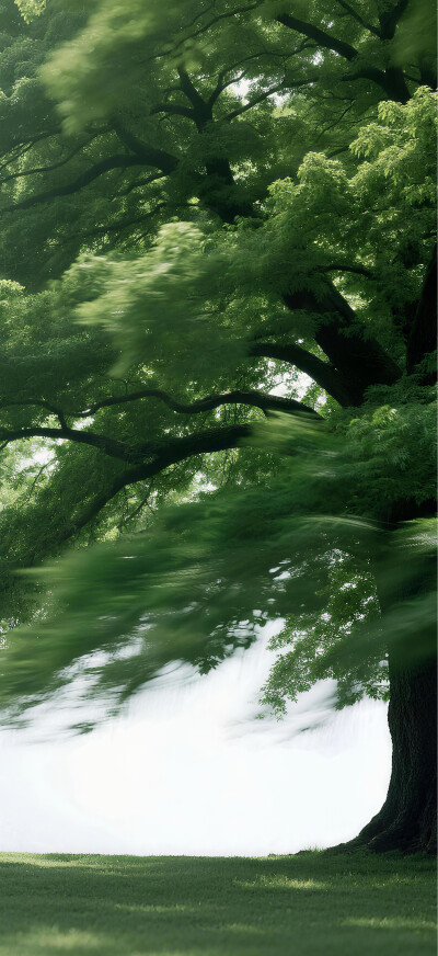 手机壁纸 | 聊天背景图 | ins风壁纸