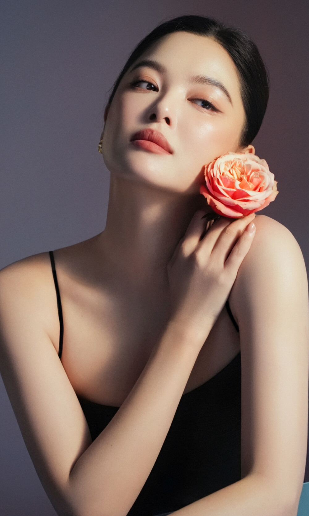 辛芷蕾
