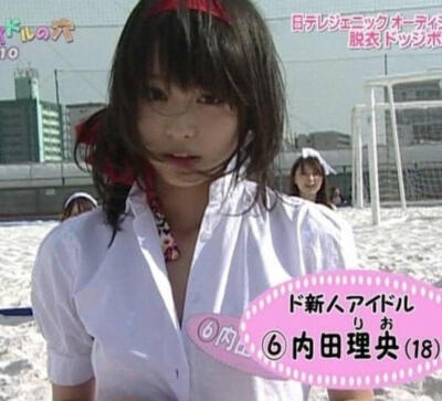 像花的樣子如太陽光芒一般閃耀
