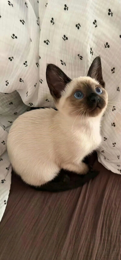 。