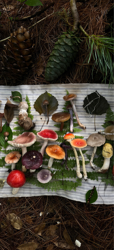 手机壁纸 | 聊天背景图 | ins风壁纸