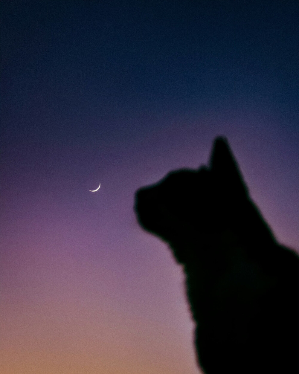 。