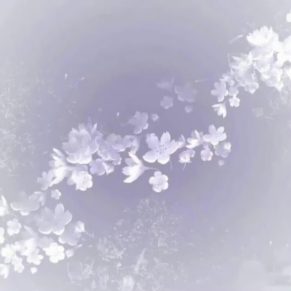紫色系