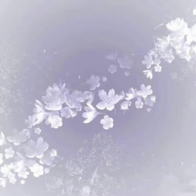 紫色系