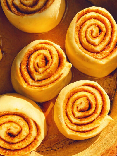 日常
CINNAMON