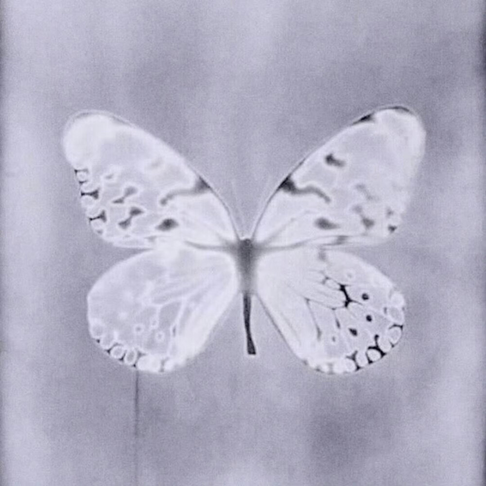 紫色系