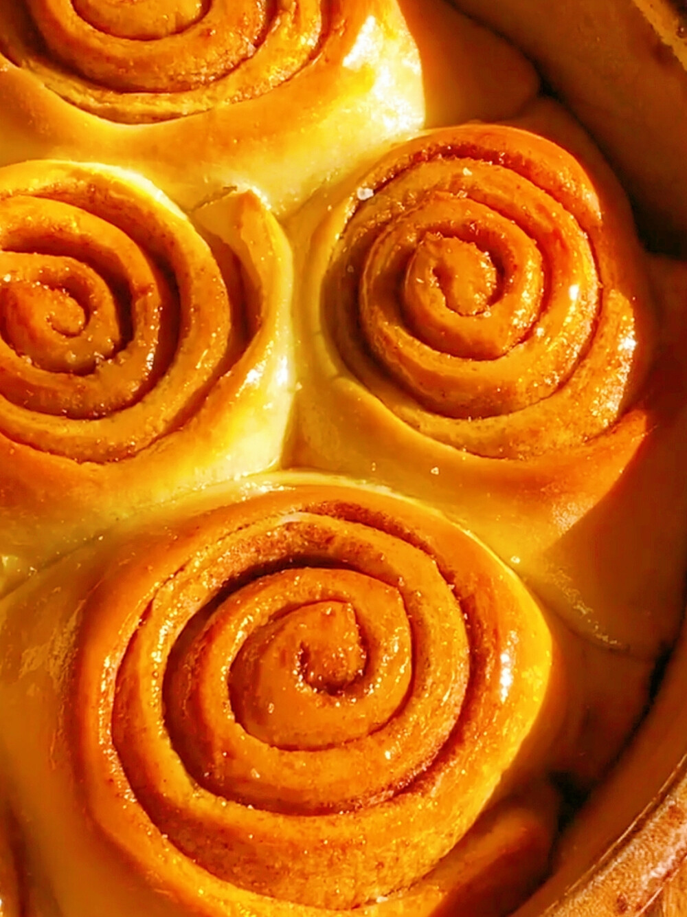 日常
CINNAMON