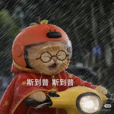 台风