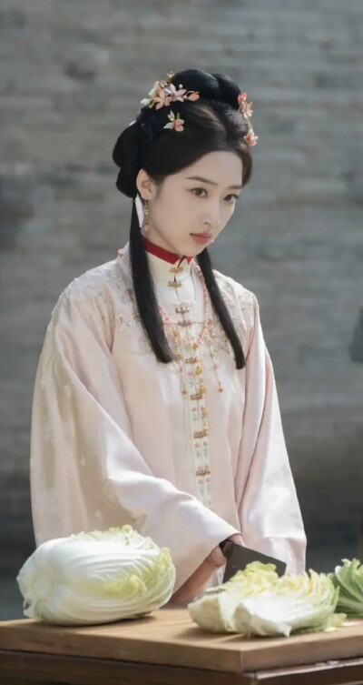 邓恩熙《花开锦绣》傅庭芸