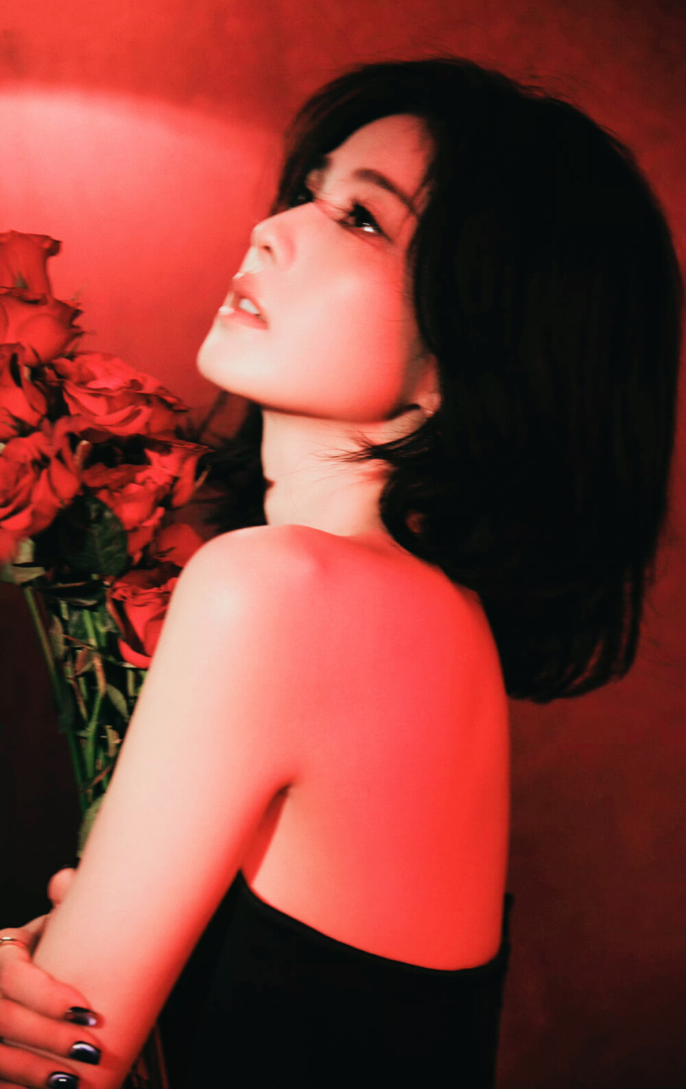 白鹿