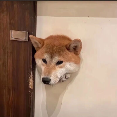 一对児