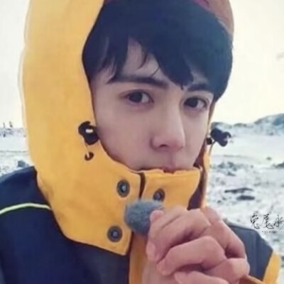 朕与狗妃何曾生过嫌隙？