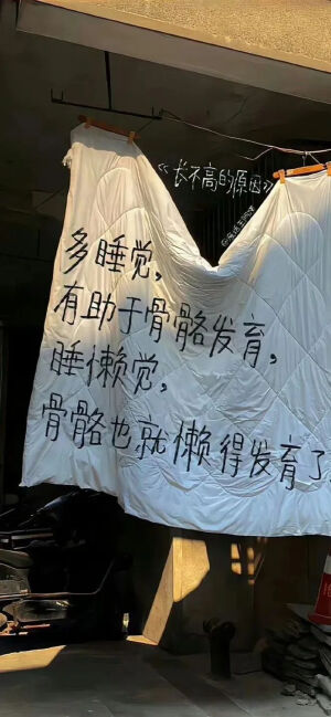 壁纸