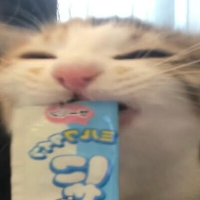 letmego