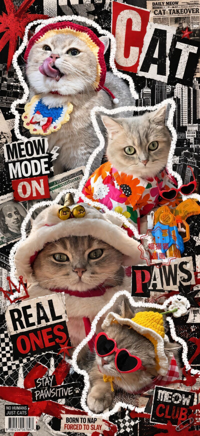猫猫
