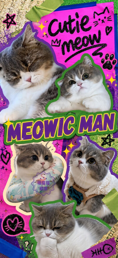 猫猫