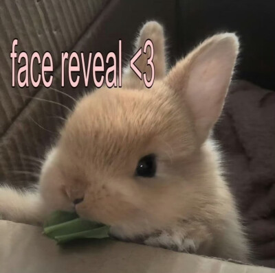 （＾ω＾）