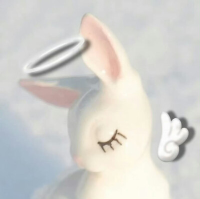 （＾ω＾）