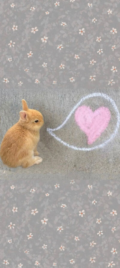 *･゜ﾟ･*:.｡..｡.:*･'(*ﾟ▽ﾟ*)'･*:.｡. .｡.:*･゜ﾟ･*