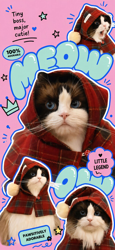 猫猫