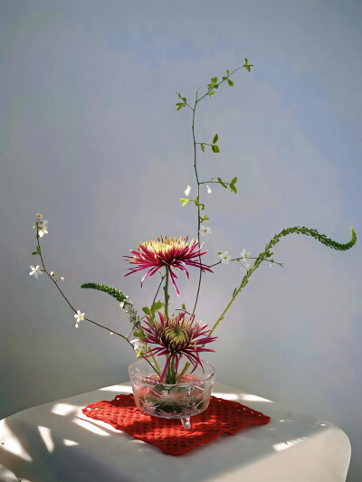 日常
花结
