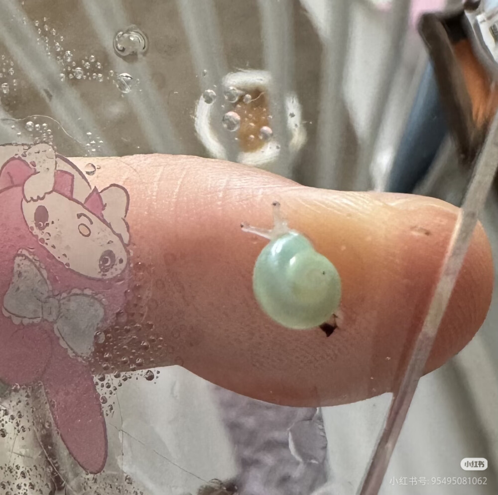 。