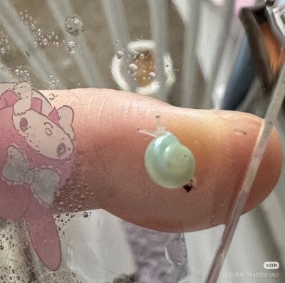 。