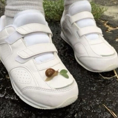 侵权删