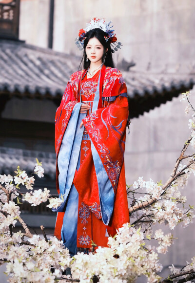 石雪婧