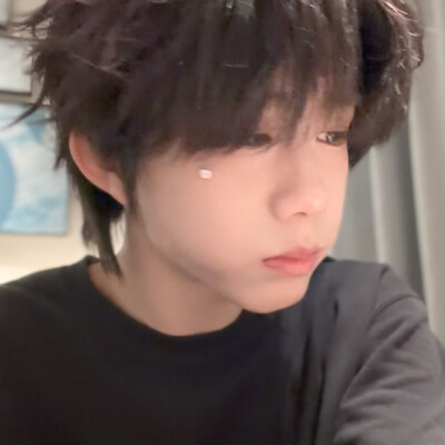 这是一只猪