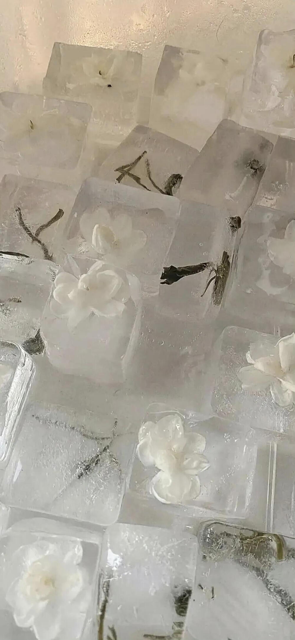 手机壁纸