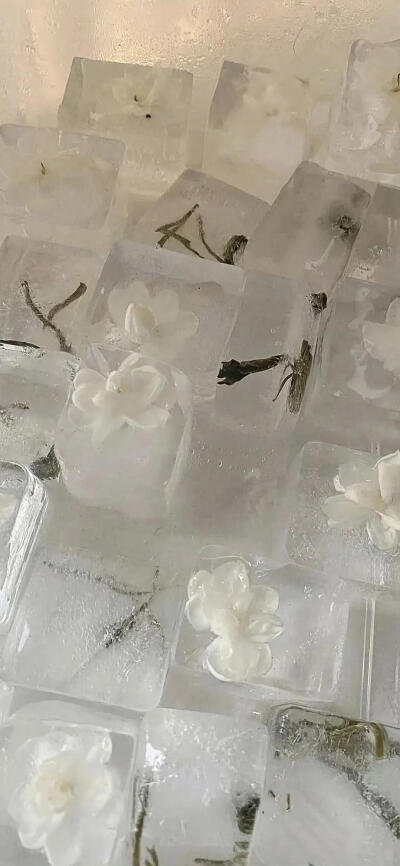 手机壁纸