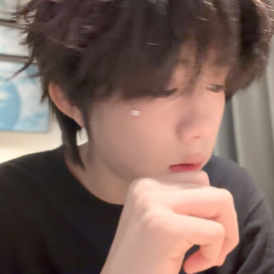 这是一只猪