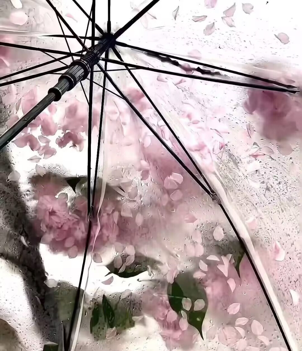 桜花雨