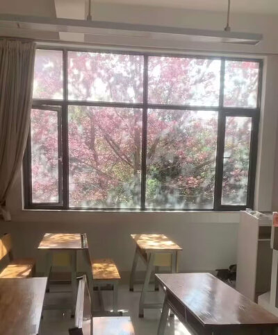 桜花雨