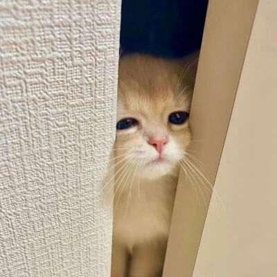背景图