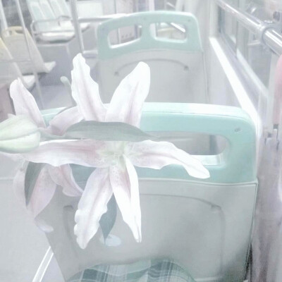 图源ks：偷喝汽水