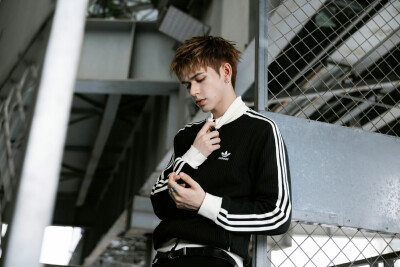 庆怜