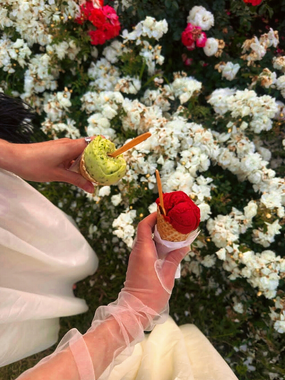 日常
看着我的眼睛